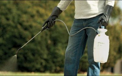 Domestic Molding Offers Cost Savings
