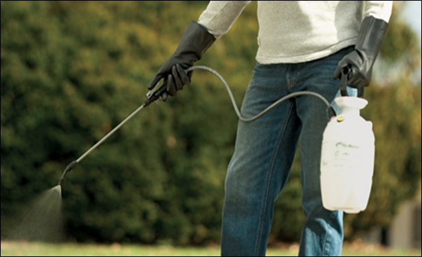 Pressure sprayer
